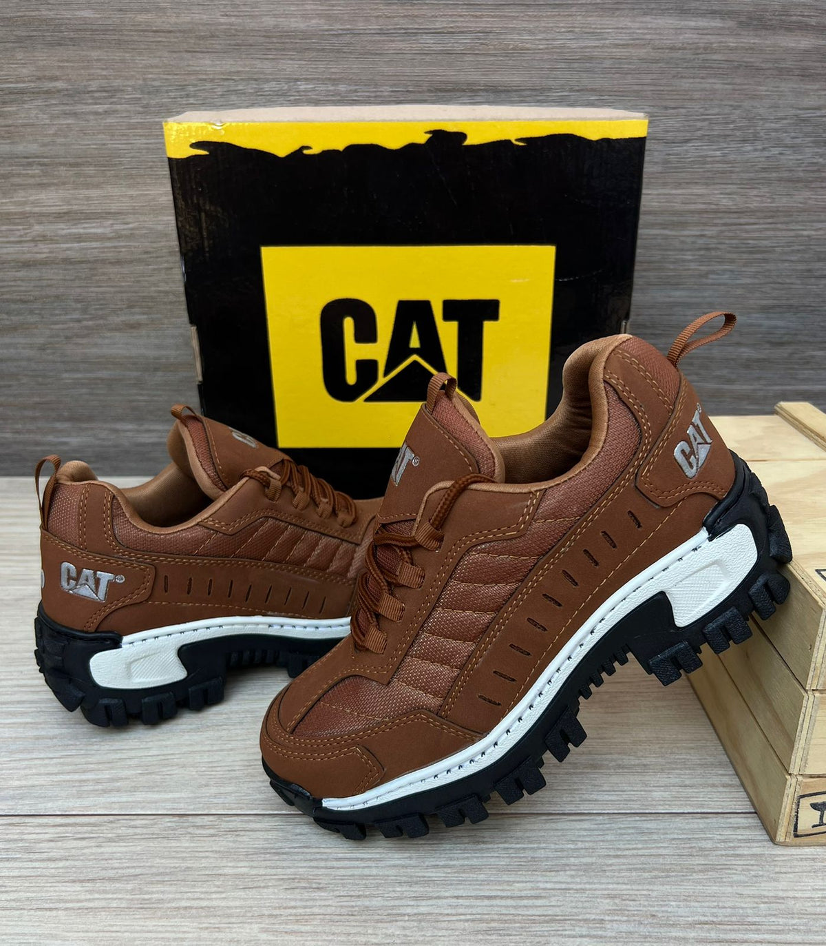 NUEVA COLECCIÓN CAT INTRUDER + CAJA